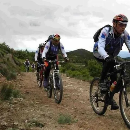 D’hôtes Neptune Wood