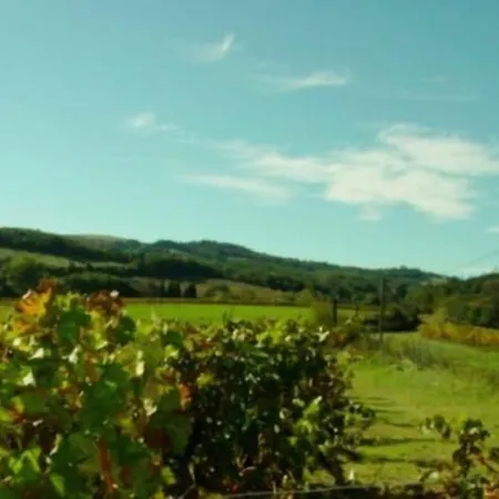 D’hôtes Neptune Wood Couette-café 3*